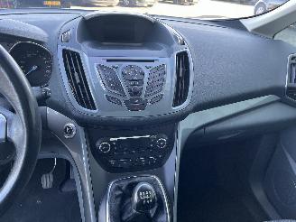 Ford Grand C-Max Grand C-Max (DXA) MPV 2.0 TDCi 16V (TXDB(Euro 5)) [120kW]  (12-2010/06=
-2019) picture 17