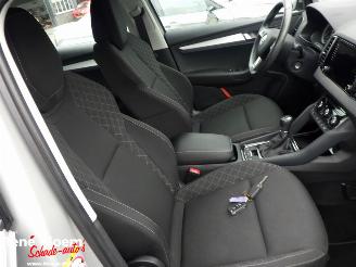 Skoda Karoq 1.5 TSi Ambition Business 150pk picture 15