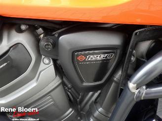 Harley-Davidson  Pan America Special picture 14