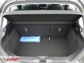 Ford Fiesta 1.0 EcoBoost Titanium Hybrid picture 15