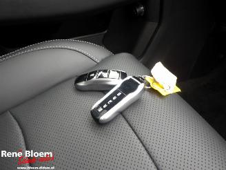 Seres 3 52 kWh Automaat 163pk picture 9