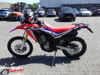 Honda CRF 250 Rally picture 2