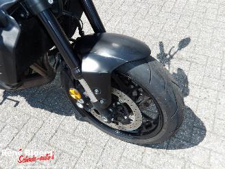 Yamaha MT-09  picture 15