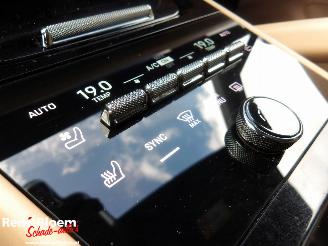Porsche Cayenne E-HYBRID 3.0 picture 25