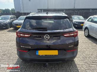 Opel Grandland X 1.2 Turbo Online Edition picture 6