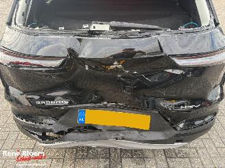 Mitsubishi Grandis 1.8 HEV Instyle picture 11