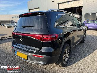 Mercedes EQB 250+ Luxury Line 71kWh 7-persoons picture 4