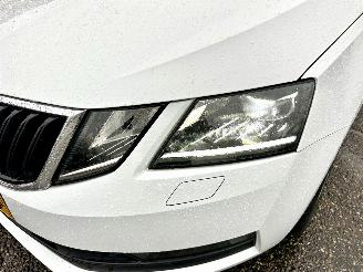 Skoda Octavia gereserveerd 1.0 TSI 116pk 6-bak Greentech Bus Edition Plus - xenon - virtual - camera - pdc - carplay - clima - cruise picture 107