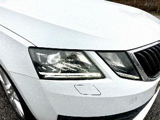 Skoda Octavia gereserveerd 1.0 TSI 116pk 6-bak Greentech Bus Edition Plus - xenon - virtual - camera - pdc - carplay - clima - cruise picture 103