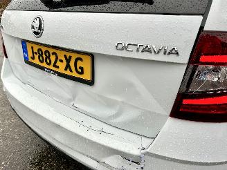 Skoda Octavia gereserveerd 1.0 TSI 116pk 6-bak Greentech Bus Edition Plus - xenon - virtual - camera - pdc - carplay - clima - cruise picture 97