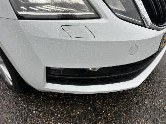 Skoda Octavia gereserveerd 1.0 TSI 116pk 6-bak Greentech Bus Edition Plus - xenon - virtual - camera - pdc - carplay - clima - cruise picture 102