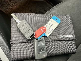 Skoda Octavia gereserveerd 1.0 TSI 116pk 6-bak Greentech Bus Edition Plus - xenon - virtual - camera - pdc - carplay - clima - cruise picture 18