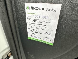 Skoda Octavia gereserveerd 1.0 TSI 116pk 6-bak Greentech Bus Edition Plus - xenon - virtual - camera - pdc - carplay - clima - cruise picture 59