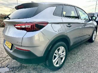 Opel Grandland X 1.2 Turbo 131pk 6-bak Online Edition - nap - navi - clima - cruise - pdc v+a - carplay - privacy glass picture 5