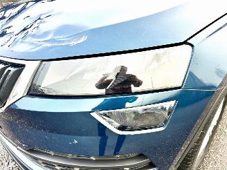 Skoda Karoq 1.5 TSI 150pk 7-Traps aut Bus.Edition - nap - navi - stoelverw - pdc - front assist - keyless - inkl trekh picture 99