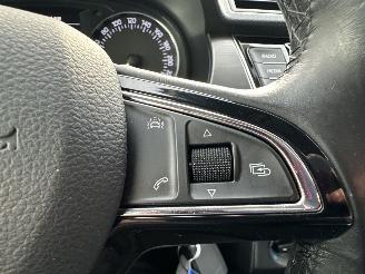 Skoda Fabia 1.0 TSI 95pk Clever - org nl - front assist - pdc - airco - cruise - navi - privacy glass - rijdbaar picture 33