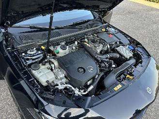 Mercedes A-klasse 250e aut + F1 AMG Star Ed Limited - pano - nap - 1e eig - sfeerverl - navi - camera - keyless - widescreen picture 67