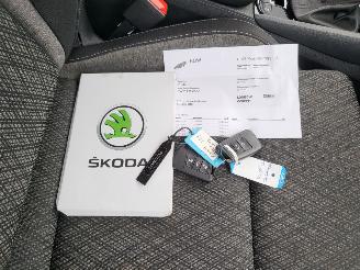 Skoda Karoq Karoq 1.5 TSI ACT Business Edition Plus rijdbaar nwpr € 44000 picture 15