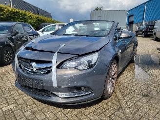 Opel Cascada Cascada 1.6 Turbo Innovation 1e eigenaar lichte blikschade picture 19