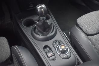 Mini Countryman 2.0 COOPER D Salt 150Pk *Clima/Navi/Camera/Stoelverwarming picture 14