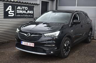 Auto incidentate Opel Grandland 1.5 Turbo X Innovation 130Pk *Navi/Leder/Stoelverwarming/Camera/Panorama 2020/1