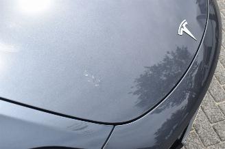 Tesla Model 3 75Kwh Long Range AWD 351Pk *Navi/Clima/leder/Camera/Panorama picture 13