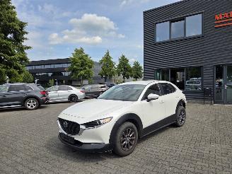  Mazda CX-30 BENZINE-HYBR / CAMERA / NAVI / HEAD UPP 2023/10