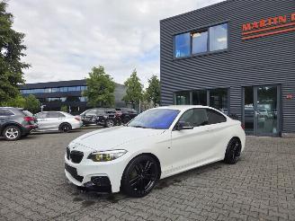 Damaged car BMW 1-serie 218i COUPE /  M- PERFORMANCE 2019/10