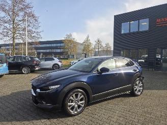 Mazda CX-30 137KW /HYBR / AUTOM /SHUIFDAK / LEER /HEAD UPP picture 2