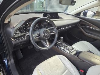Mazda CX-30 137KW /HYBR / AUTOM /SHUIFDAK / LEER /HEAD UPP picture 16