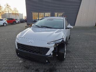 Hyundai Kona 88kw 48v / NAVI / CAMERA / CLIMA picture 12