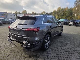 Audi Q8 E-tron S-LINE  Quattro 250kw / 95 Ah / Luchtvering picture 12