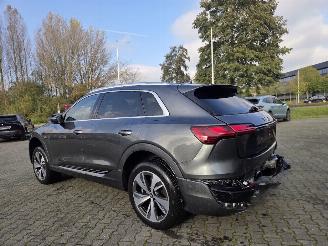 Audi Q8 E-tron S-LINE  Quattro 250kw / 95 Ah / Luchtvering picture 3