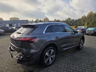 Audi Q8 E-tron S-LINE  Quattro 250kw / 95 Ah / Luchtvering picture 13