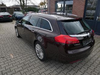 Opel Insignia Sports Tourer Innovation picture 19