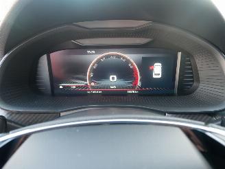 Skoda Kamiq MONTE CARLO PANORAMADAK LED picture 14