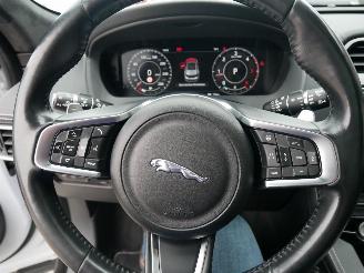 Jaguar F-Pace Chequered Flag AWD Merida Panoramadak Leer Led picture 19