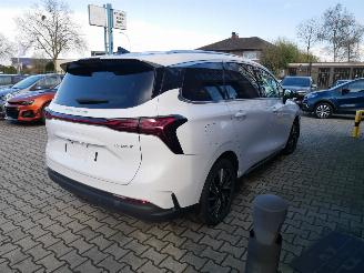 DFSK  FORTHING U TOUR PANORAMADAK LEER LED 7 PERSOONS picture 5