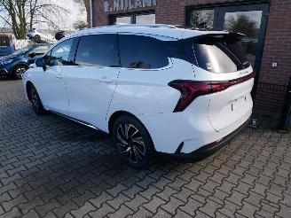 DFSK  FORTHING U TOUR PANORAMADAK LEER LED 7 PERSOONS picture 7