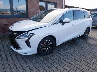 DFSK  FORTHING U TOUR PANORAMADAK LEER LED 7 PERSOONS picture 2