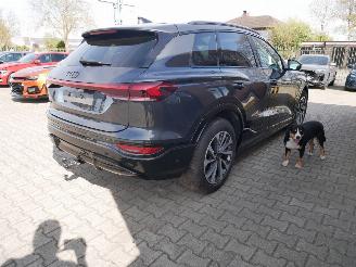 Audi Q6 Q6 e-TRON PERFORMANCE S-LINE MATRIX LED LEER AHK PANORAMA picture 5