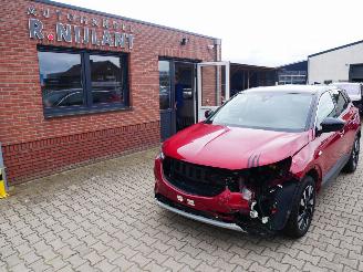 Voiture accidenté Opel Grandland X LEER LED PANORAMADAK 2020/6