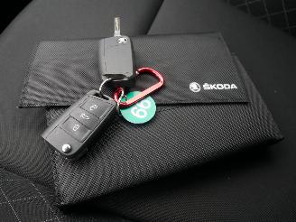 Skoda Karoq AMBITION DSG picture 17
