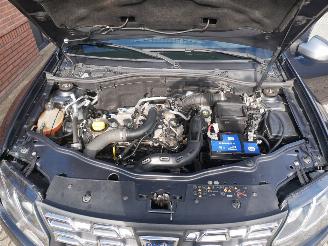 Dacia Duster  picture 12