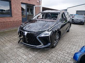 damaged passenger cars DFSK  FORTHING 4 U-TOUR LEER LED PANORAMADAK 7 PERSOONS. 2024/5