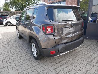 Jeep Renegade LIMITED ADVENTURE EDITION AWD LEER LED picture 5