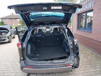 Toyota Rav-4 LEER LED PANORAMADAK picture 16