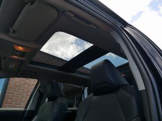 Toyota Rav-4 LEER LED PANORAMADAK picture 15