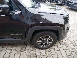 Jeep Renegade LONGITUDE picture 5