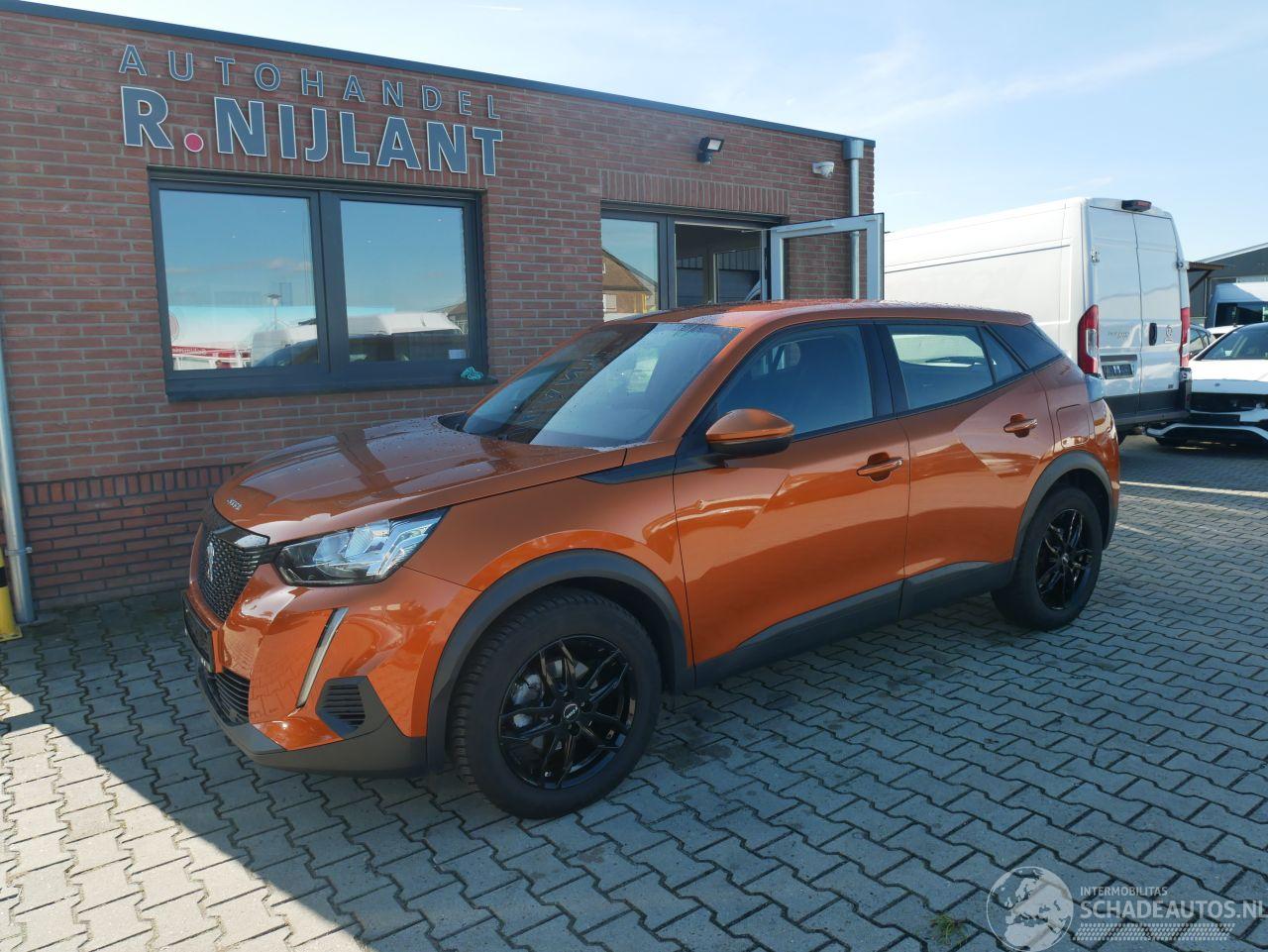 Peugeot 2008 ACTIVE HAGELSCHADE